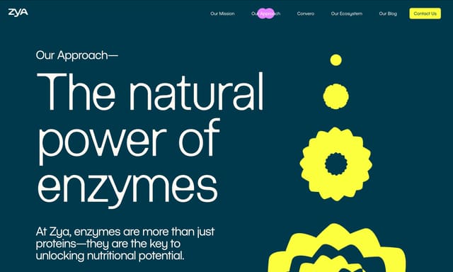 zya.co — image 2 of 4