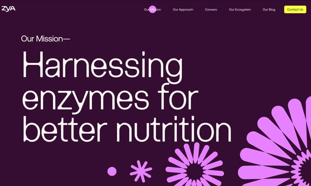 zya.co — image 4 of 4